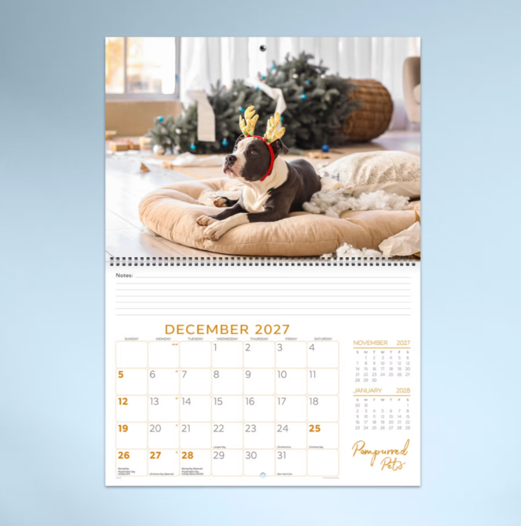 2027 Pampurred Pets Spiral Bound Calendar 337x240mm
