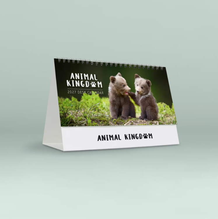 2027 Animal Kingdom Desk Calendar - March owlets