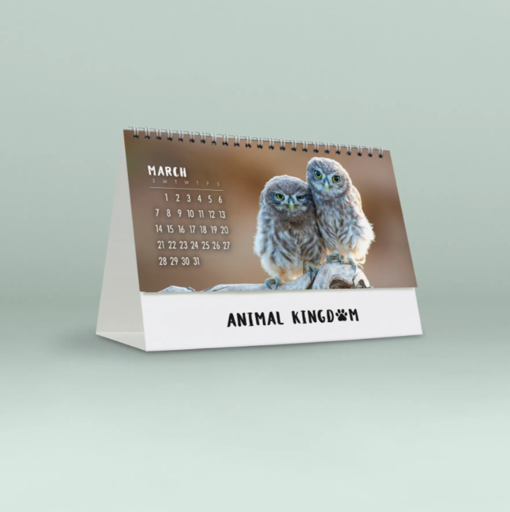2027 Animal Kingdom Desk Calendar - July dormice