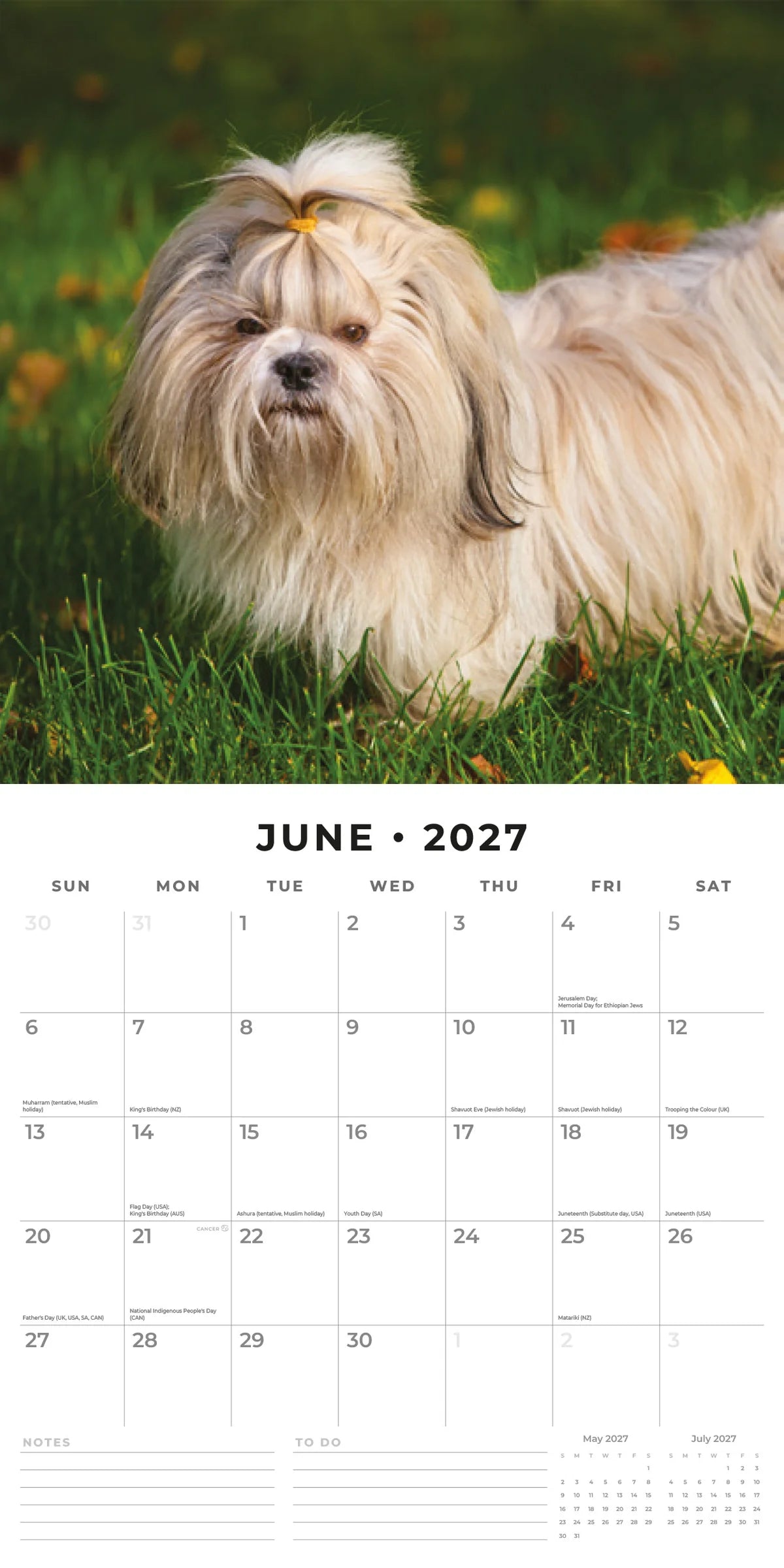 Shih Tzu 2027 Calendar - June 2027 monthly spread featuring a cream long-coated Shih Tzu with orange hair clip walking through green grass with yellow flowers