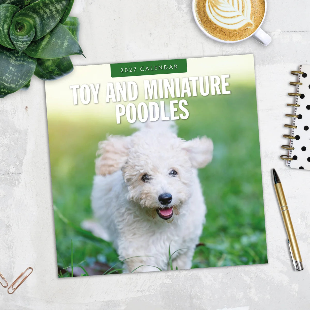 Toy and Miniature Poodles 2027 Square Wall Calendar - Lifestyle flat lay with coffee, succulent and stationery on marble surface