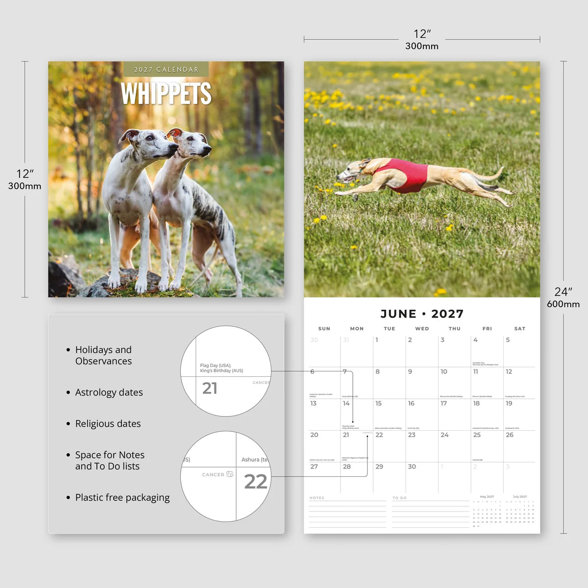 Whippets 2027 Calendar - Size specifications showing 30x30cm closed and 30x60cm open with feature highlights including holidays, astrology dates and notes space