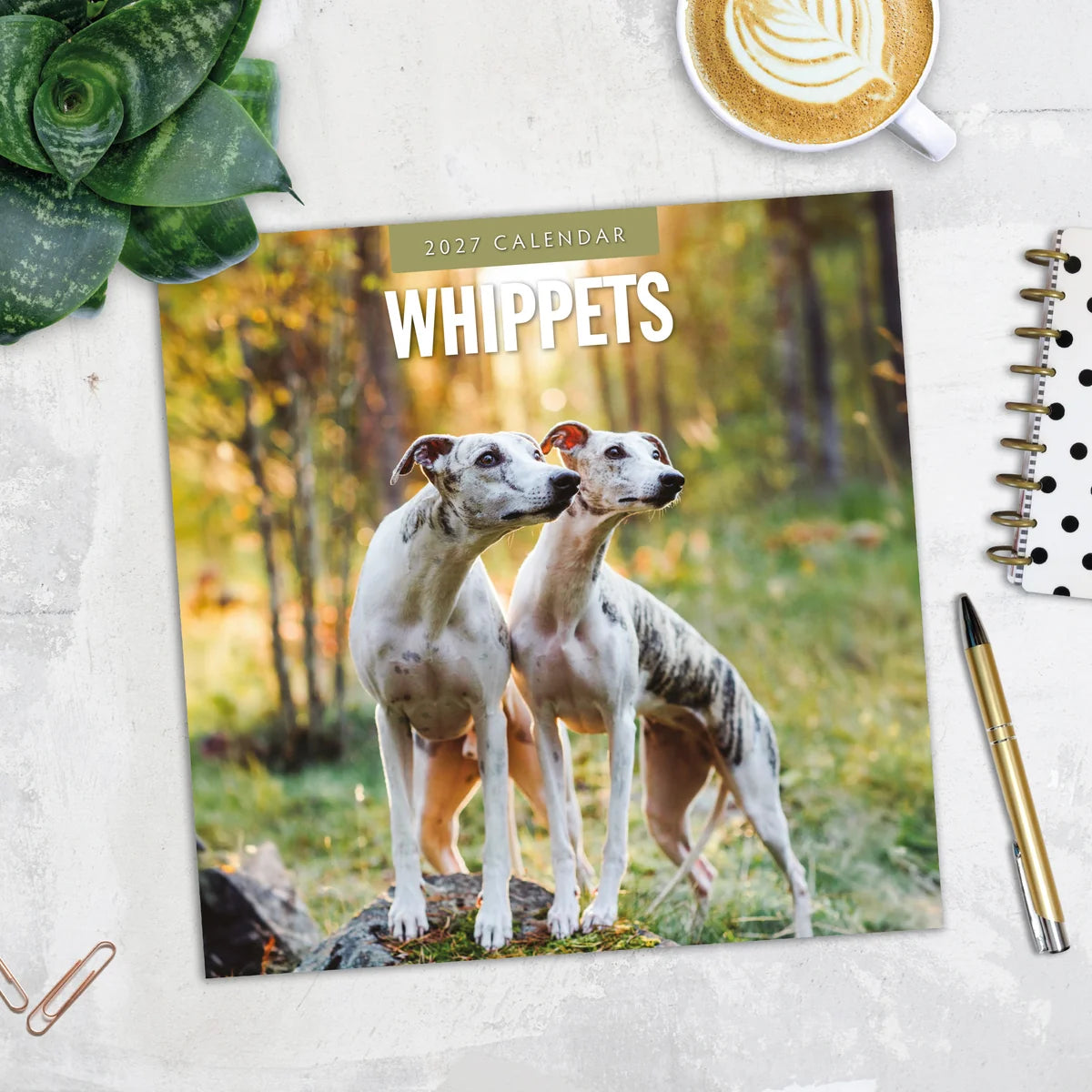 Whippets 2027 Square Wall Calendar - Lifestyle flat lay with coffee, succulent and stationery on marble surface