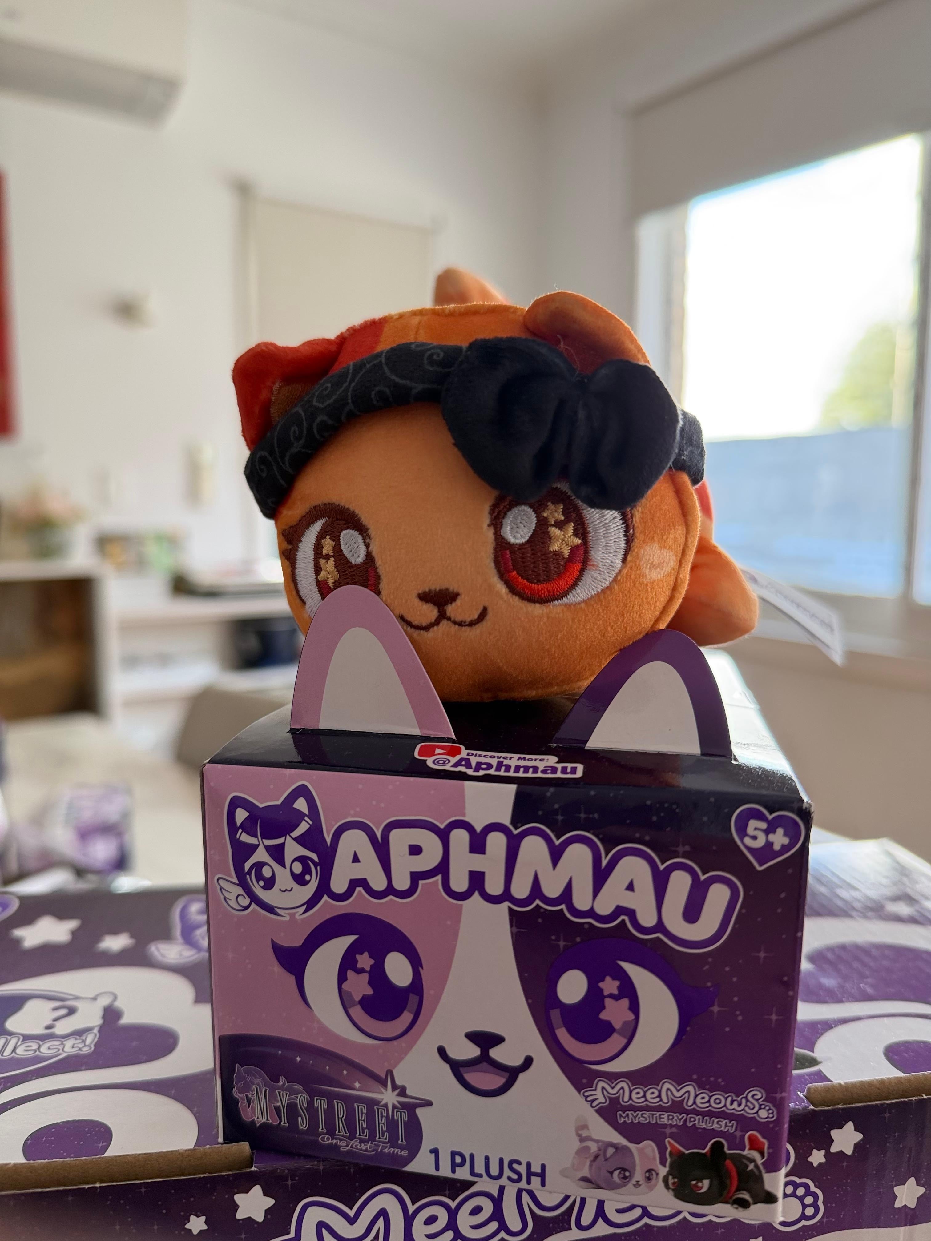 Aphmau MeeMeow Lucinda My Street Collection Plush sitting on top of gift box