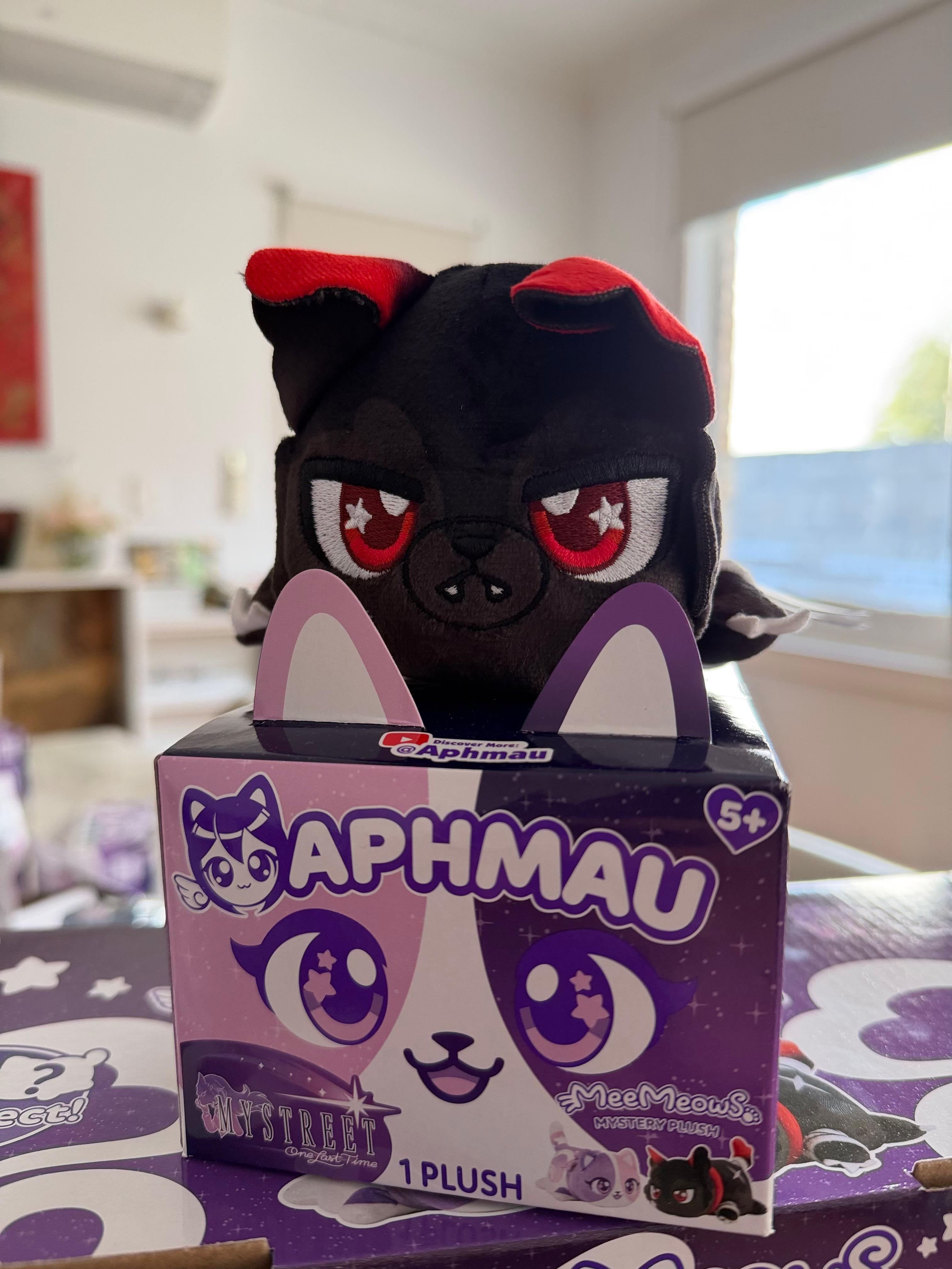 Aphmau MeeMeow Aaron My Street Collection Plush sitting on top of gift box