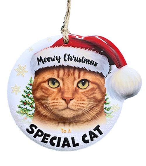 Christmas ceramic plaque - Meowy Christmas to a Special Cat