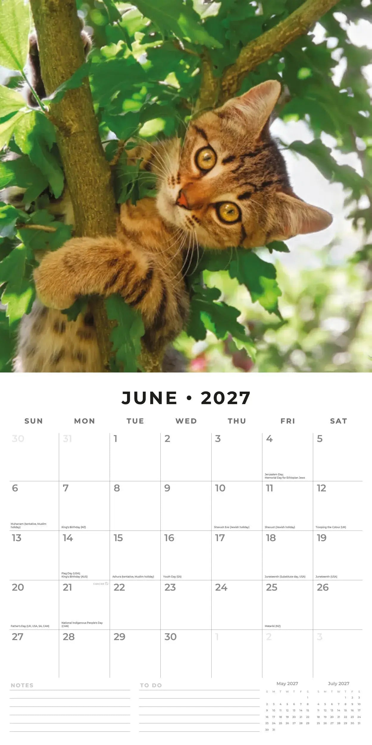 Adorable Cats 2027 Square Wall Calendar – June 2027 page featuring a Bengal cat climbing through green tree branches