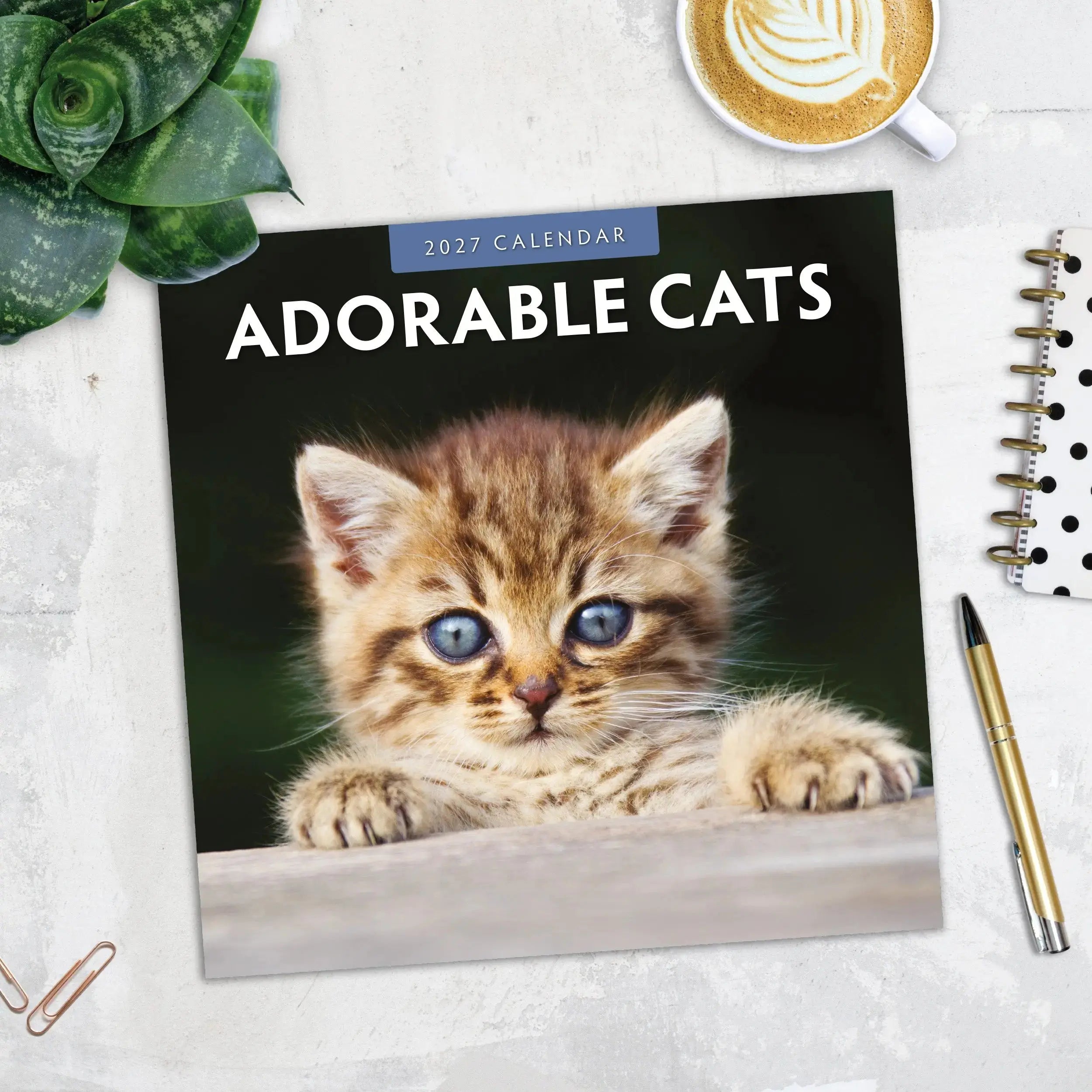 Adorable Cats 2027 Square Wall Calendar – flat lay lifestyle shot showing front cover with adorable tabby kitten on dark background with stationery and coffee