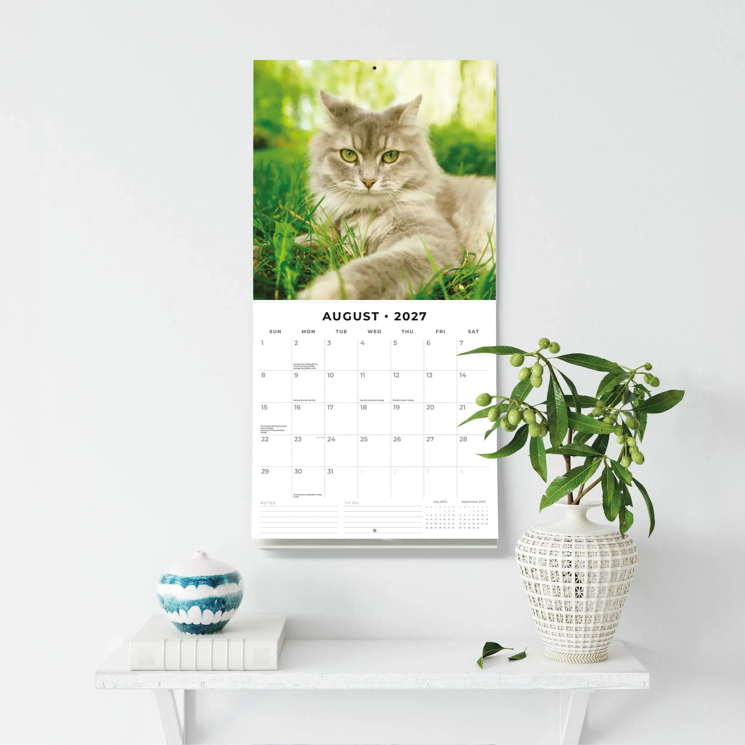 Adorable Cats 2027 Square Wall Calendar – August 2027 lifestyle shot featuring a fluffy grey cat in green grass displayed on a white wall