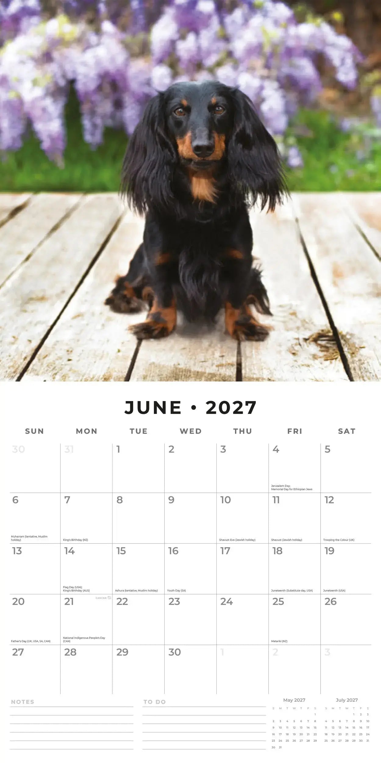 Adorable Dogs 2027 Square Wall Calendar – August 2027 lifestyle shot showing three Shetland Sheepdog puppies displayed as portrait wall calendar on white wall