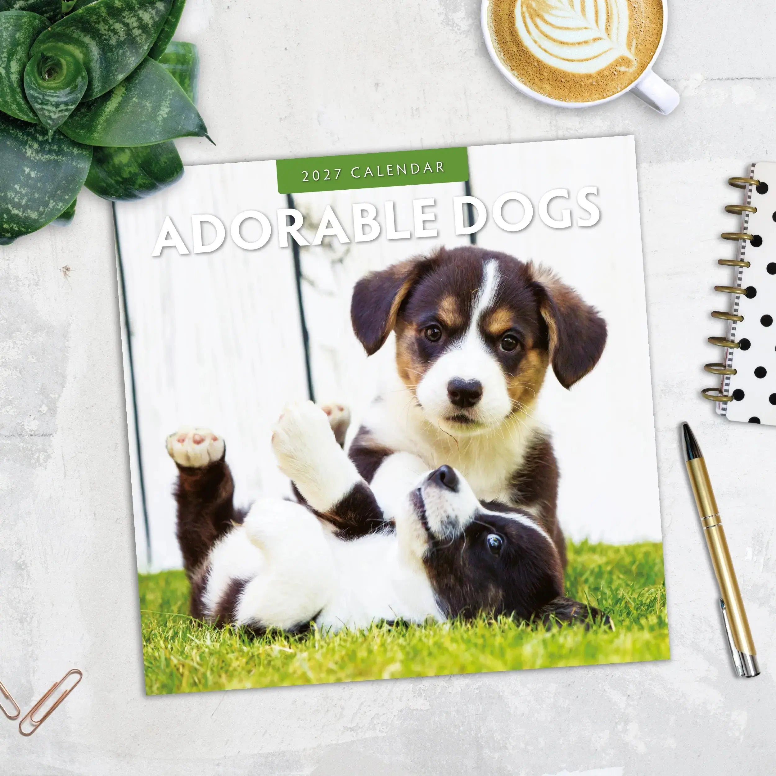 Adorable Dogs 2027 Square Wall Calendar – June 2027 page featuring a long-haired black Dachshund sitting on wooden decking under purple wisteria