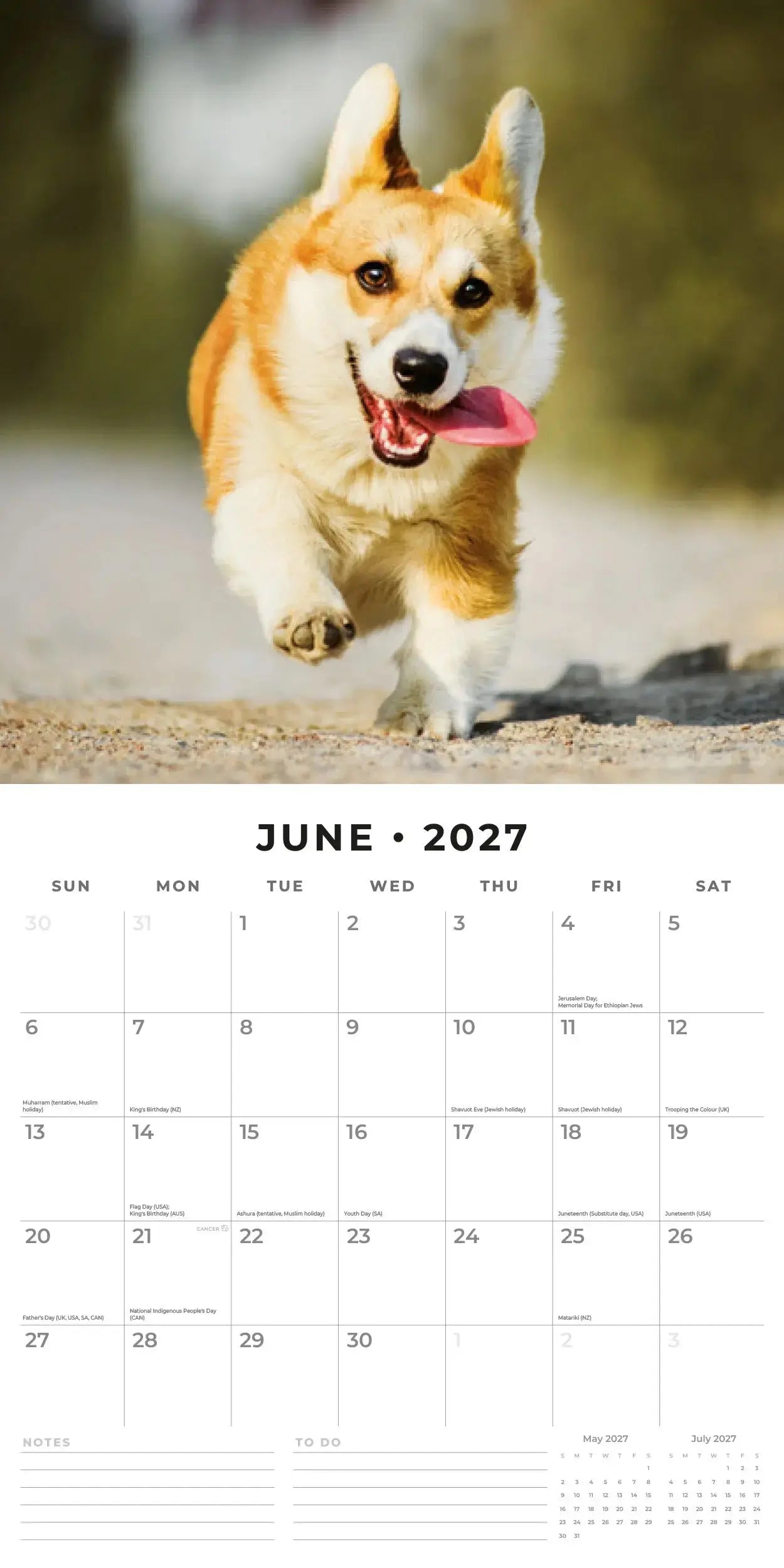 Dogs and Puppies 2027 Square Wall Calendar – June 2027 page featuring a Corgi running on a sandy path with tongue out and ears up