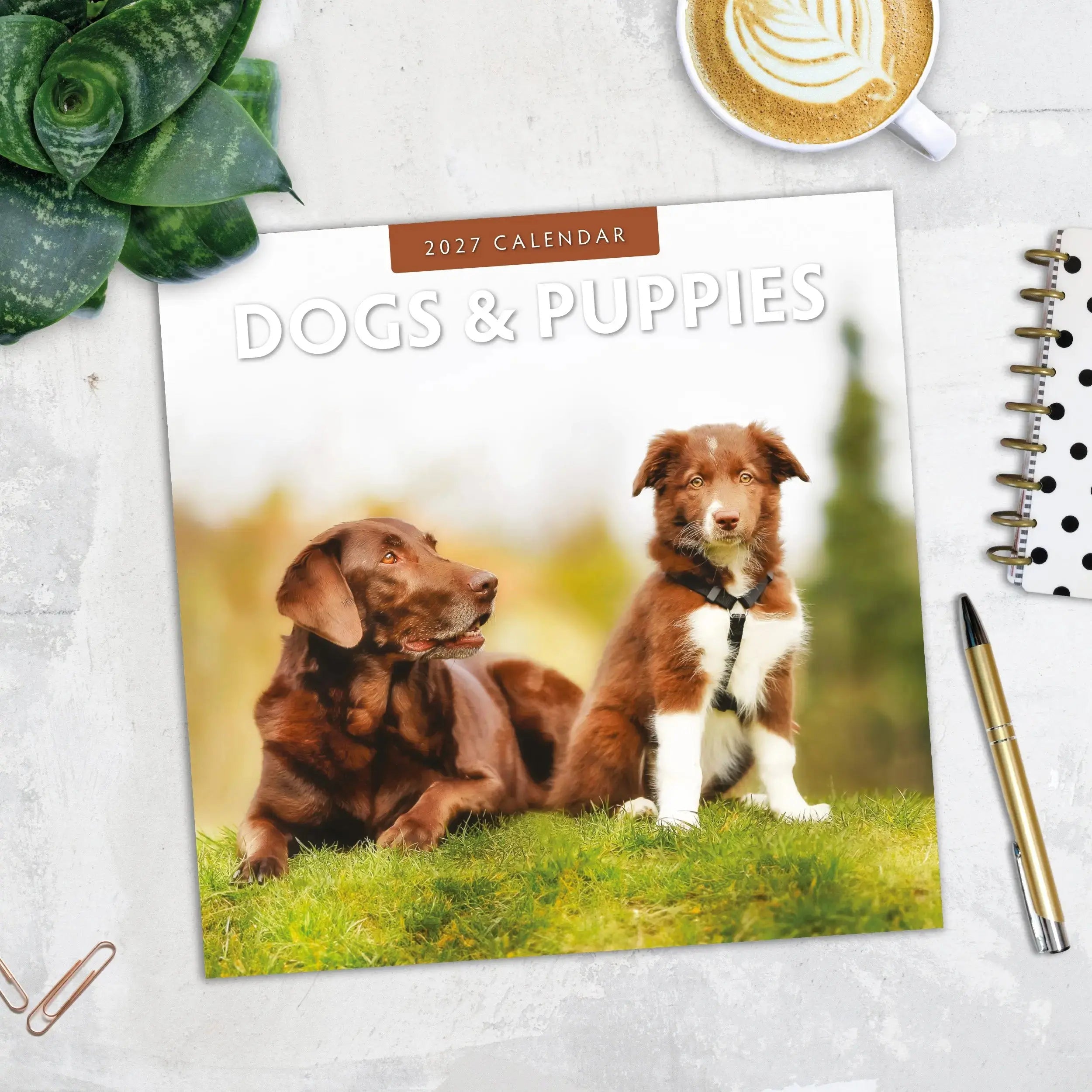 Dogs and Puppies 2027 Square Wall Calendar – flat lay lifestyle shot showing front cover with chocolate Labrador and Border Collie puppy alongside coffee notebook and pen on marble surface
