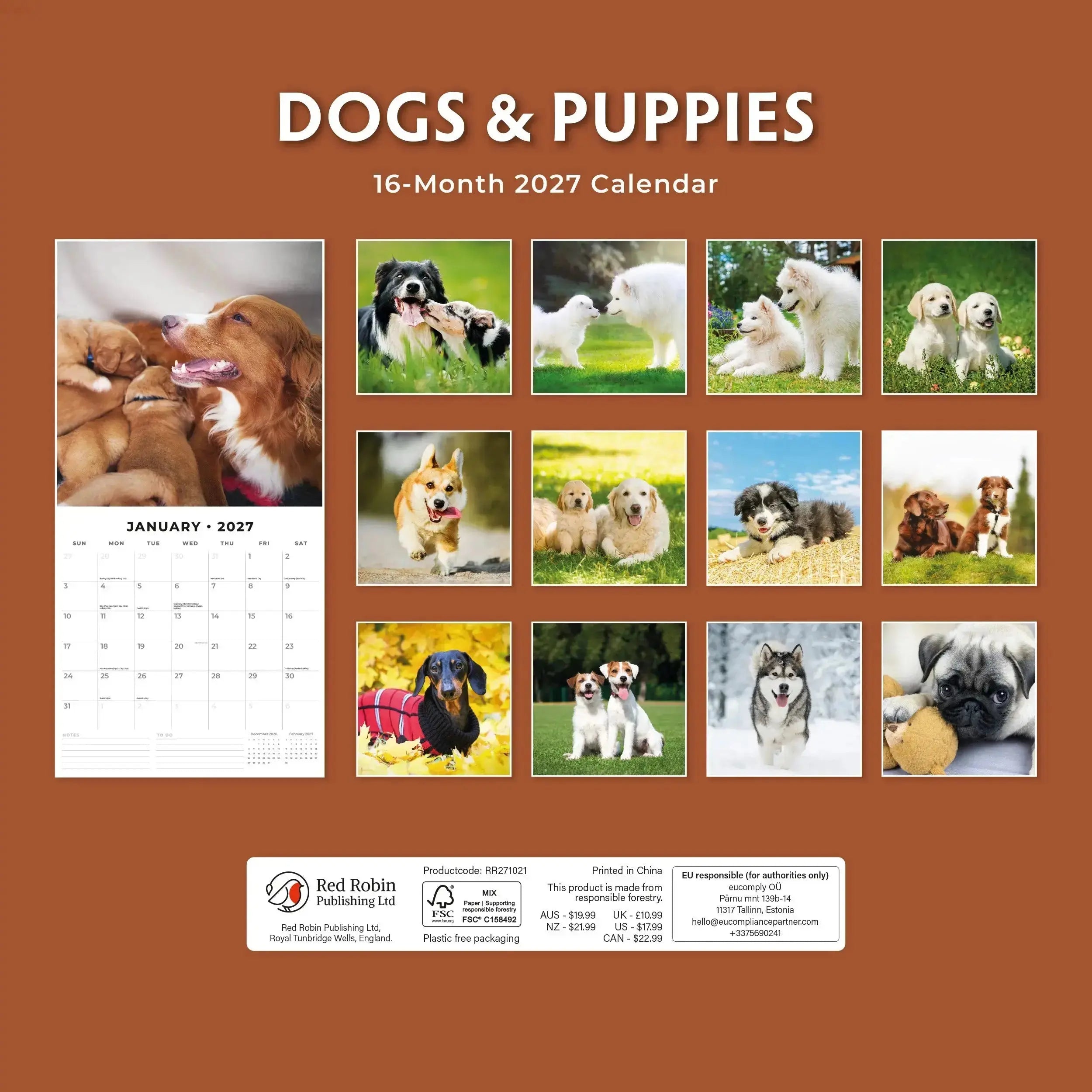Dogs and Puppies 2027 Square Wall Calendar – dimensions infographic showing closed size 30x30cm and open size 30x60cm with June 2027 Corgi page and feature bullet points on grey background