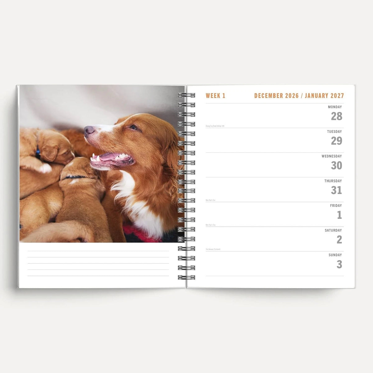 Dogs and Puppies 2027 A5 Spiral Diary front cover on desk with succulent plant and pen