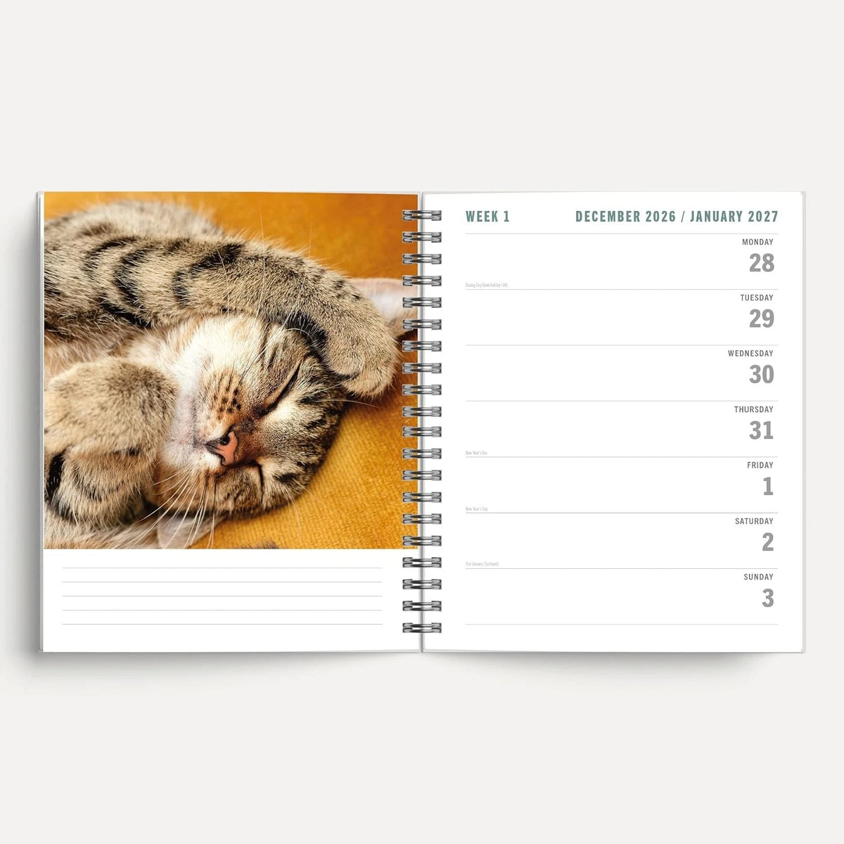 Cats and Kittens 2027 A5 Spiral Diary January week to view spread