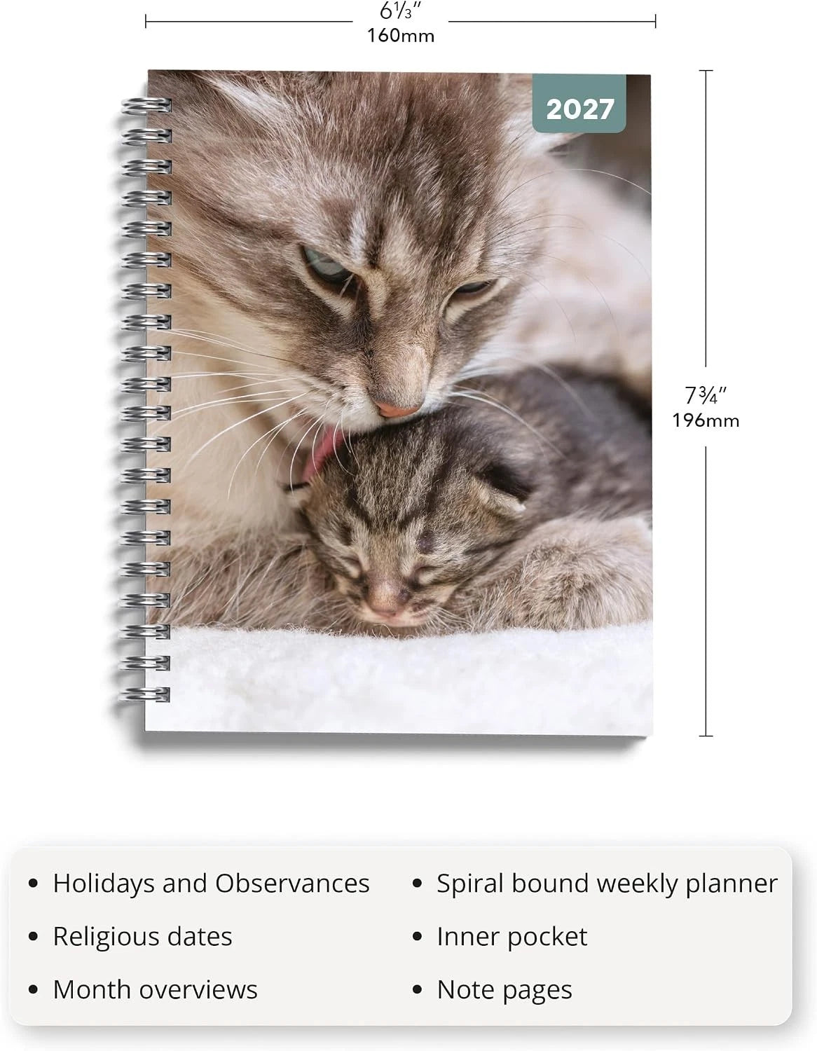 Cats and Kittens 2027 A5 Spiral Diary front cover on desk with succulent plant and pen