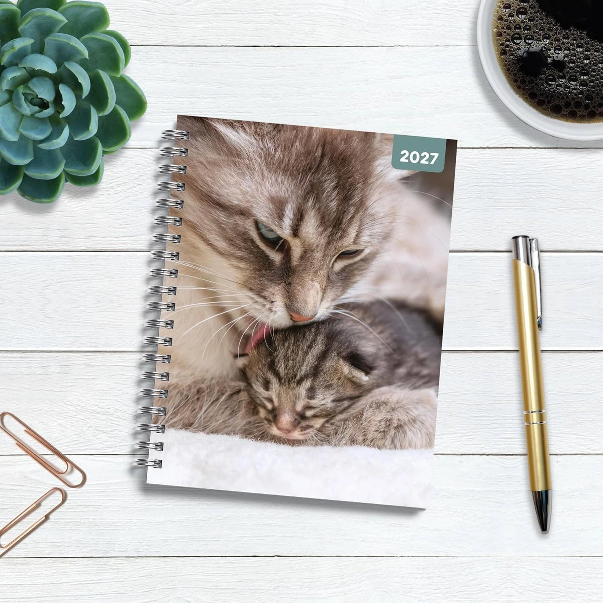 Cats and Kittens 2027 A5 Spiral Diary front cover with cat licking kitten photograph