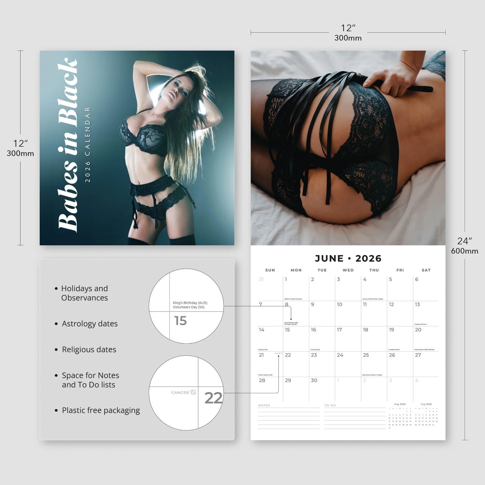 Babes in Black – 2026 Square Wall Calendar Monthly Planner | 16-Month, Large Grid | Red Robin (RR261177)