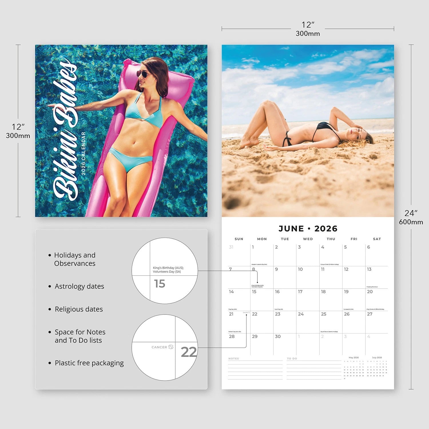 Bikini Babes 2026 Square Wall Calendar Monthly Planner – 16-Month, Large Grid | Red Robin (RR261179)